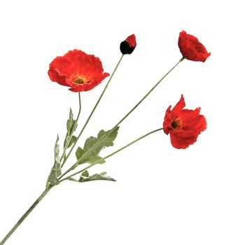 SPRAY POPPY X 4 25" RED