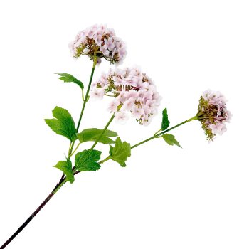 SPRAY HYDRANGEA X 3 27.5" PINK REAL TOUCH