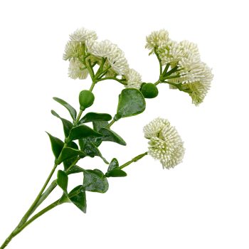 SPRAY SEDUM 22"X3 CREAM