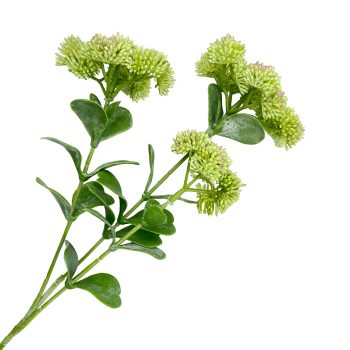 SPRAY SEDUM 22"X3 LT GREEN RED