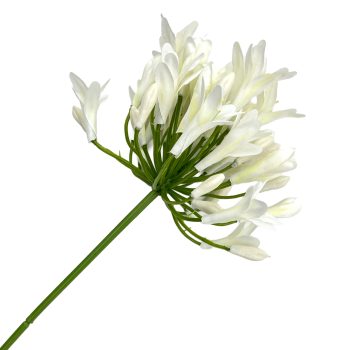 SPRAY AGAPANTHUS 29.5" CREAM