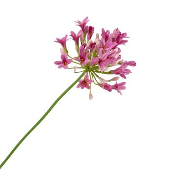 SPRAY AGAPANTHUS 29.5" BEAUTY
