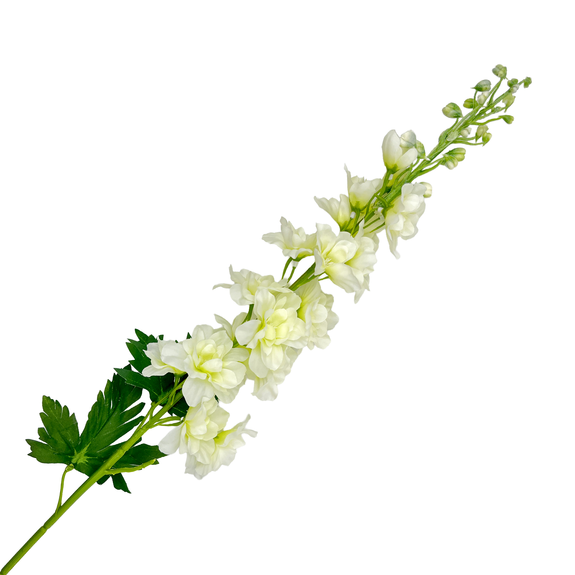 SPRAY DELPHINIUM 31" CREAM