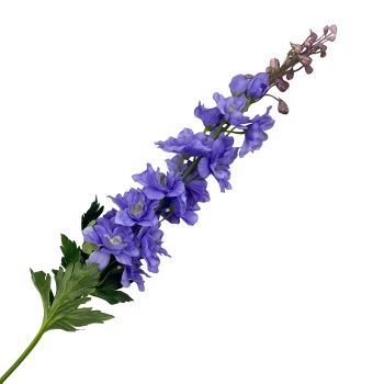 SPRAY DELPHINIUM 31" BLUE/LAVENDER