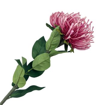 SPRAY PROTEA 29" BEAUTY