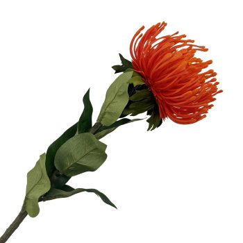 SPRAY PROTEA 29" ORANGE
