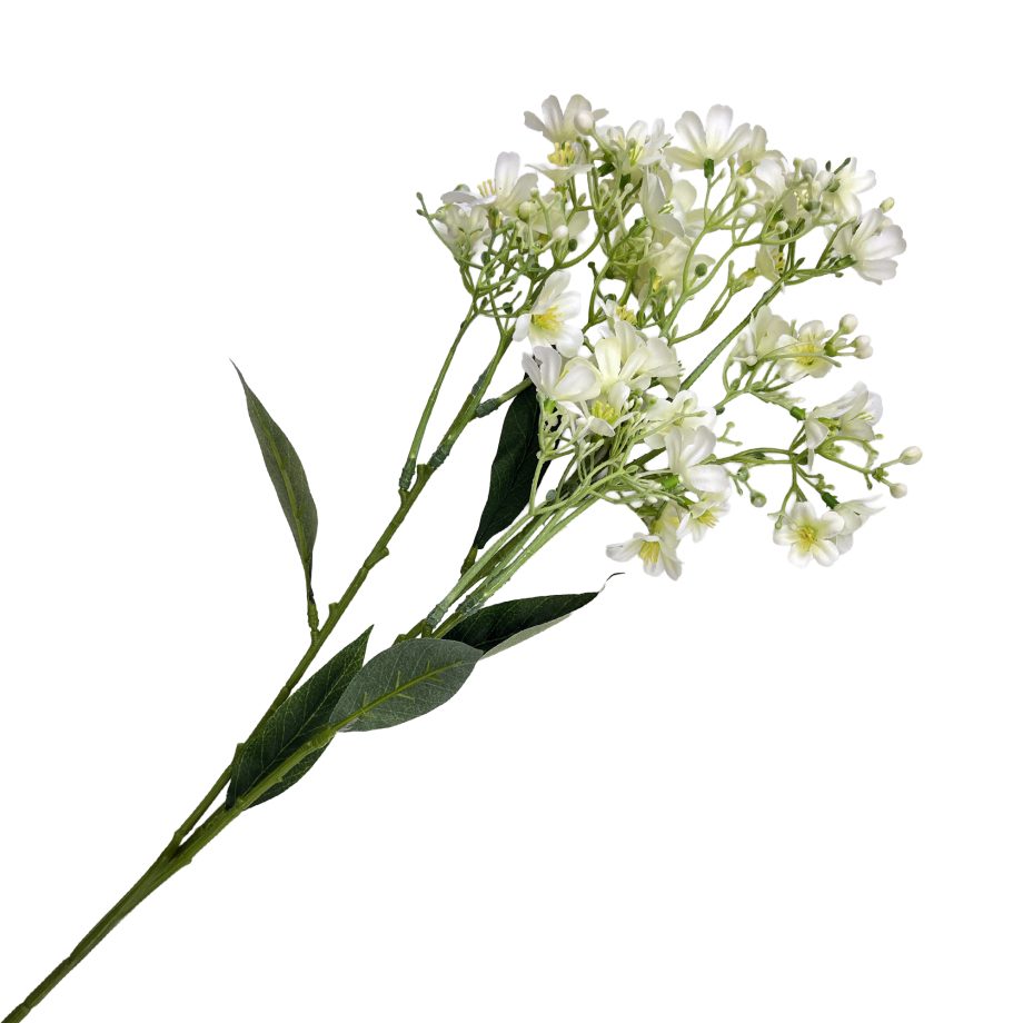 SPRAY DAPHNE28" CREAM