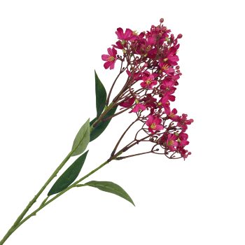 SPRAY DAPHNE 28" BEAUTY