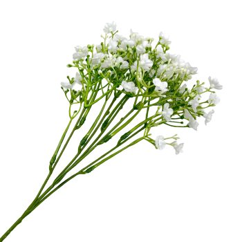 SPRAY NEW GYPSO 18" WHITE