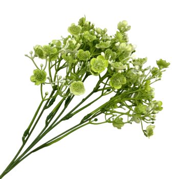 SPRAY NEW GYPSO 18" LT GREEN