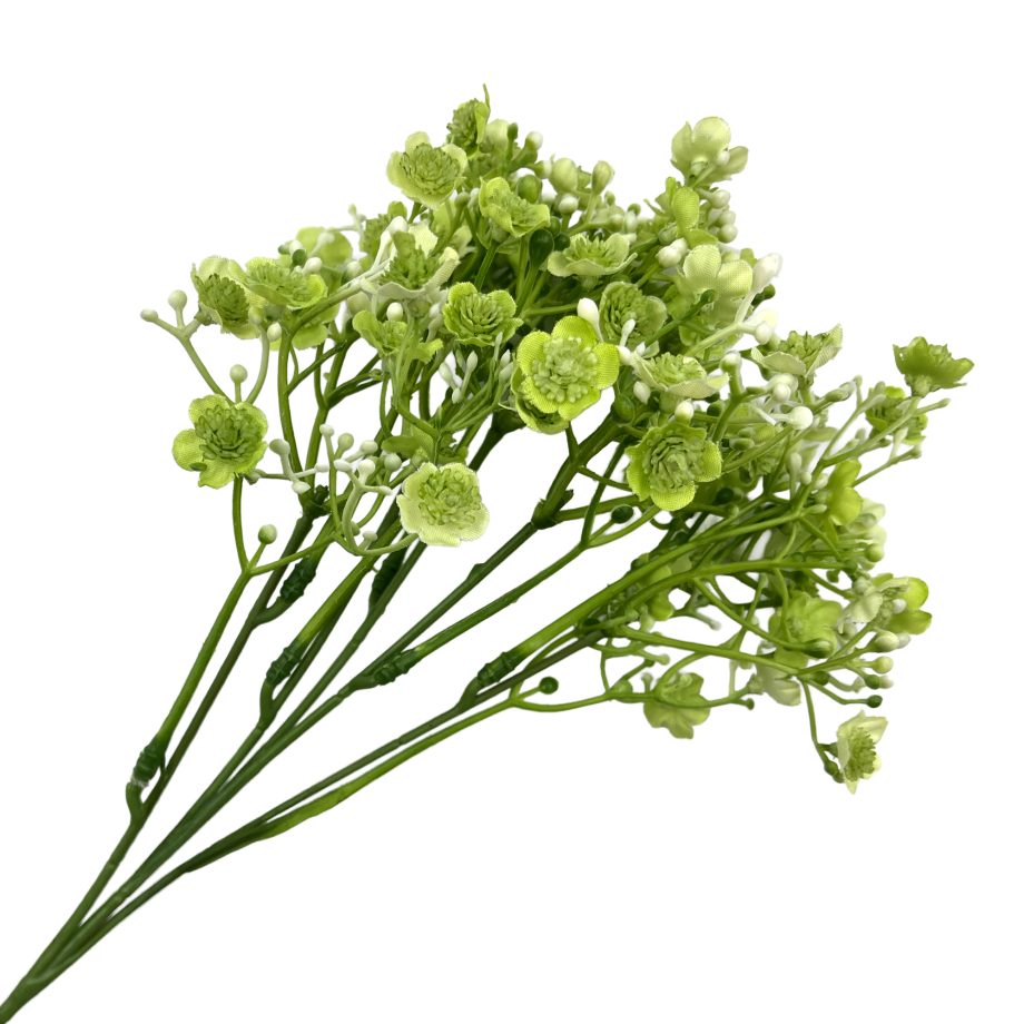 SPRAY NEW GYPSO 18" LT GREEN