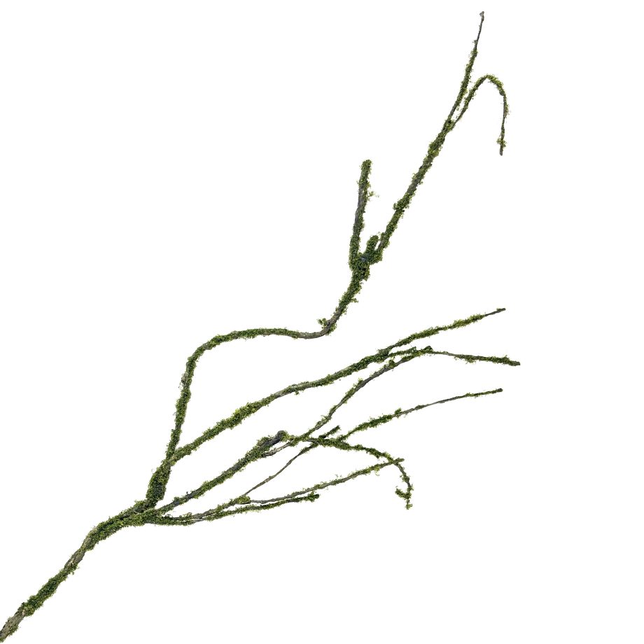 TWIG BRANCH NATURAL LOOK 27.5" W/MOSS
