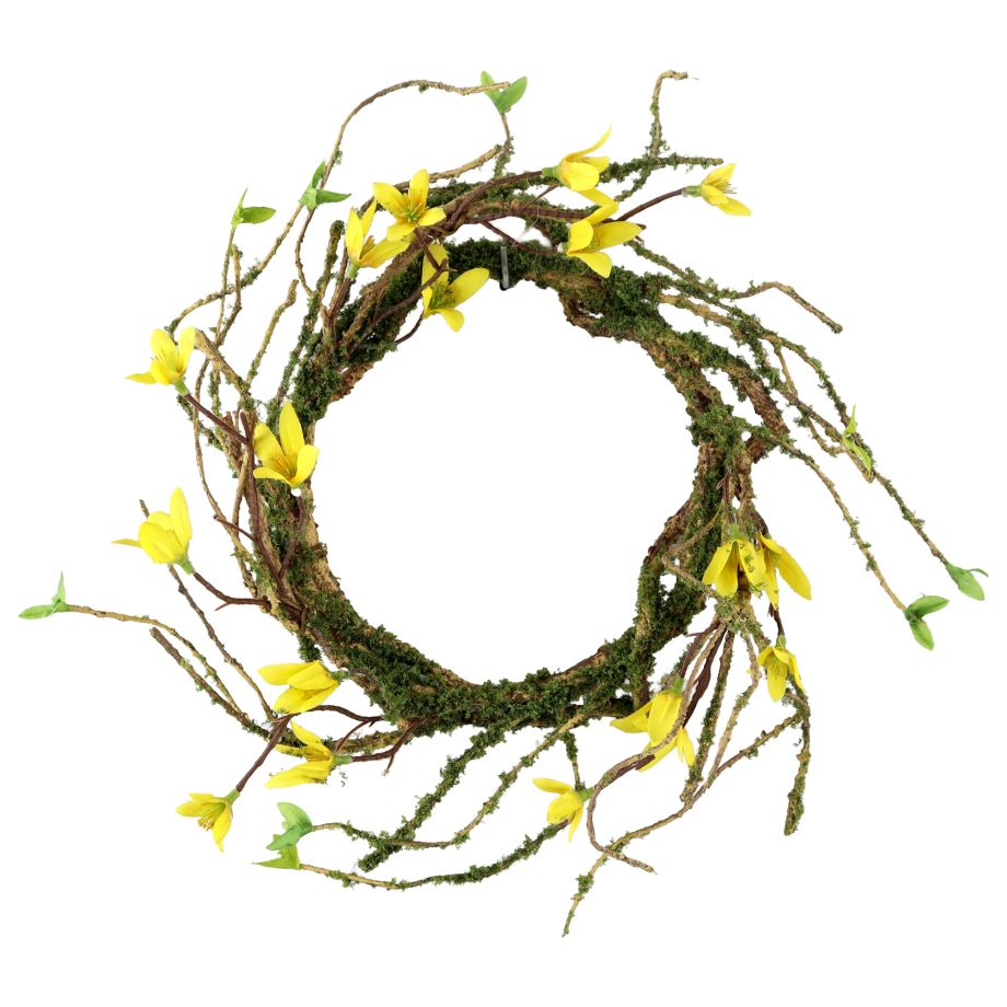 WREATH FORSYTHIA 12" YELLOW W/NATURAL BRANCH & MOSS