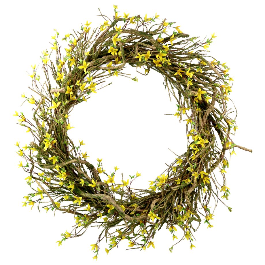 WREATH FORSYTHIA 35" YELLOW W/NATURAL BRANCH & MOSS