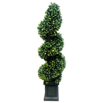 TREE SPIRAL GREAT BOXWOOD 40" GREEN