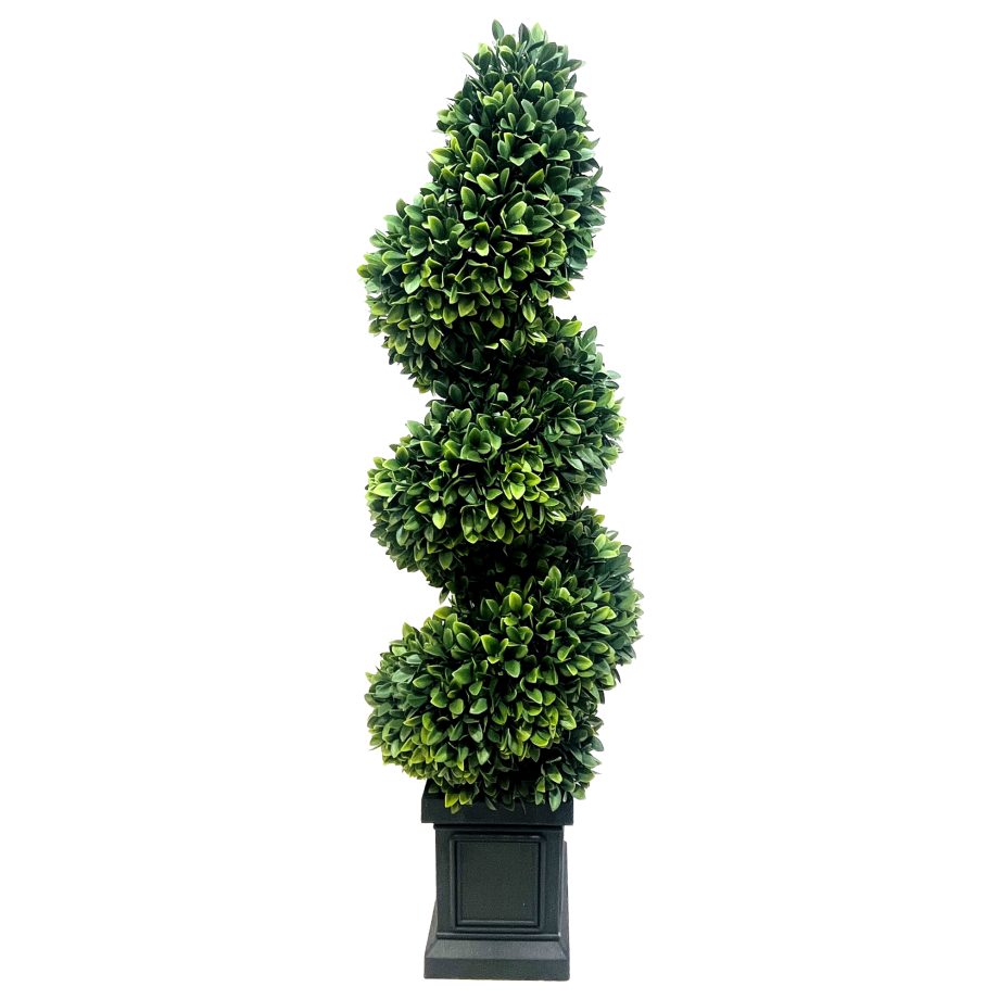 TREE SPIRAL GREAT BOXWOOD 40" GREEN