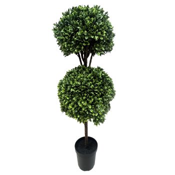 TREE/TOPIARY GREAT BOXWOOD 52"X2B GREEN