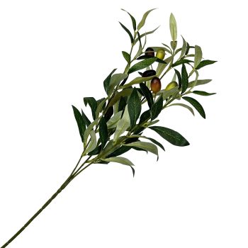 BRANCH OLIVE 26" GREEN 5 OLIVES