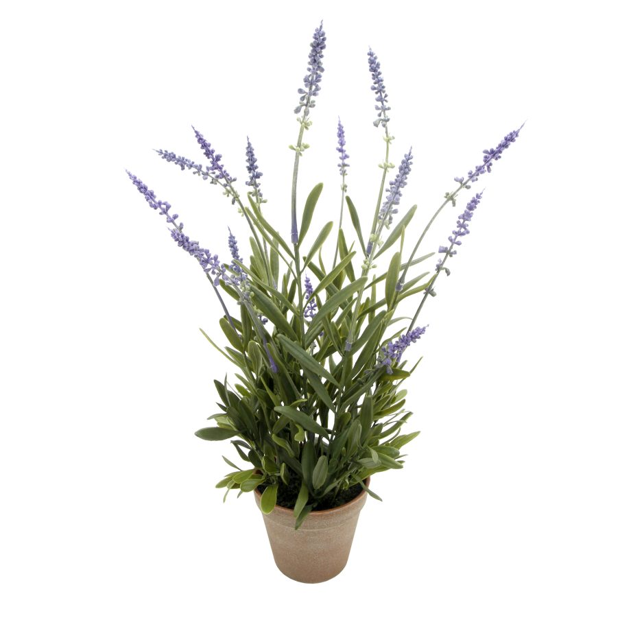 POTTED LAVENDER 19"H LILAC 4" VINTAGE POT