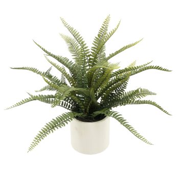 POTTED BOSTON FERN 19" GREEN W/WHITE DESIGNER POT