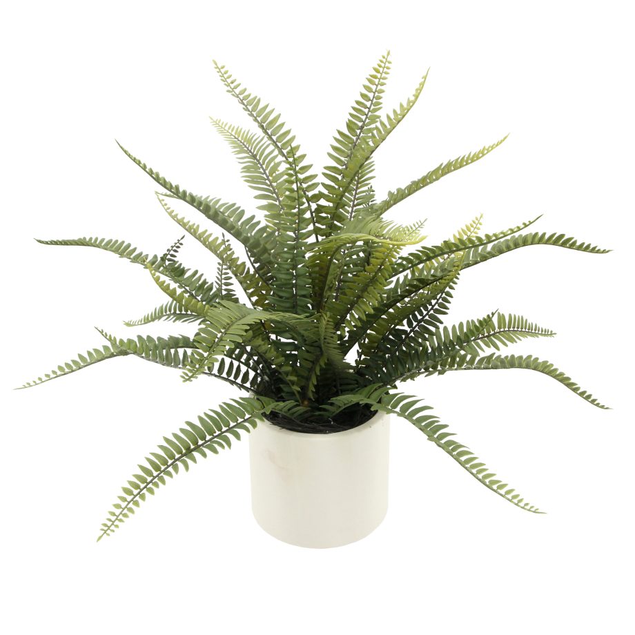 POTTED BOSTON FERN 19" GREEN W/WHITE DESIGNER POT