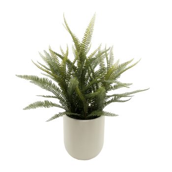 POTTED BOSTON FERN 32" GREEN W/WHITE DESIGNER POT