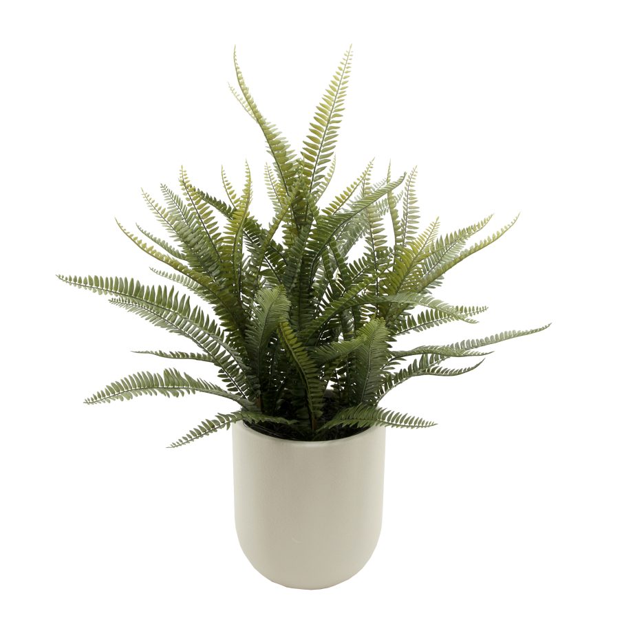 POTTED BOSTON FERN 32" GREEN W/WHITE DESIGNER POT