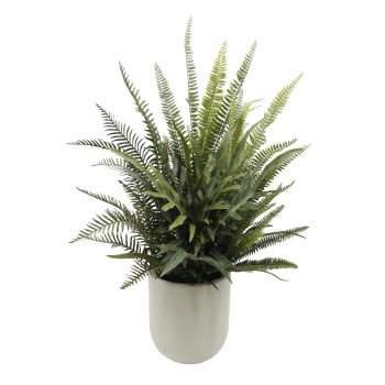 POTTED MIXED FERN 40" GREEN W/WHITE DESIGNER POT