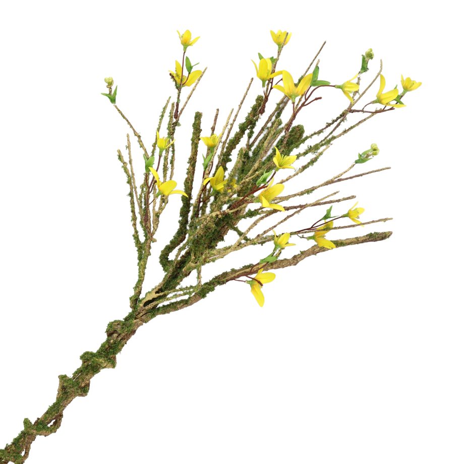 SPRAY 24" FORSYTHIA YELLOW NATURAL BRANCH W/MOSS