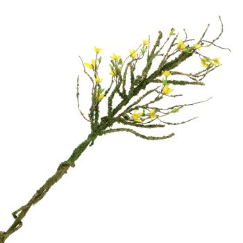 BRANCH FORSYTHIA 35" NATURAL W/MOSS