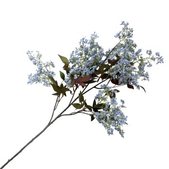 SPRAY CONE BERRY 43" BLUE