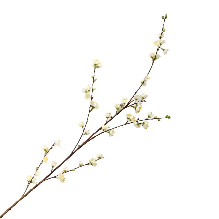 CHERRY BLOSSOM 46.5" CREAM