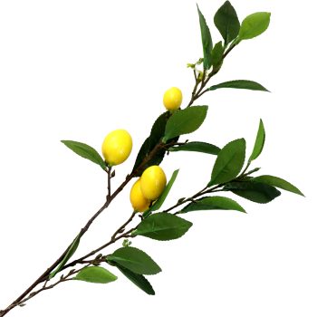 SPRAY LEMON 34"X2 YELLOW/GREEN
