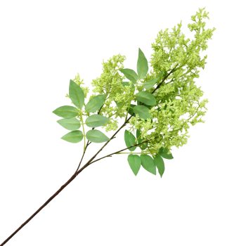 SPRAY SNOW LILAC 33.5"X3 GREEN