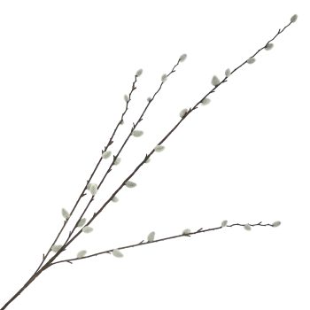 SPRAY PUSSY WILLOW 37"X15" NATURAL/GREEN