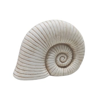 SEASHELL DECOR CEMENT 6.5"X5" NATURAL WHITE FINISH