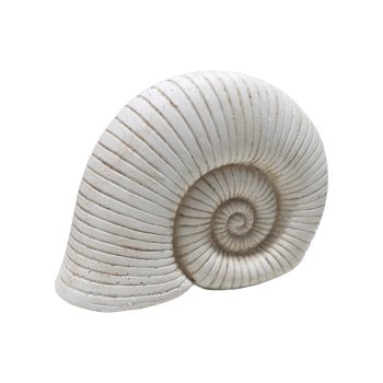 SEASHELL DECOR CEMENT 9"X7"H NATURAL WHIE FINISH