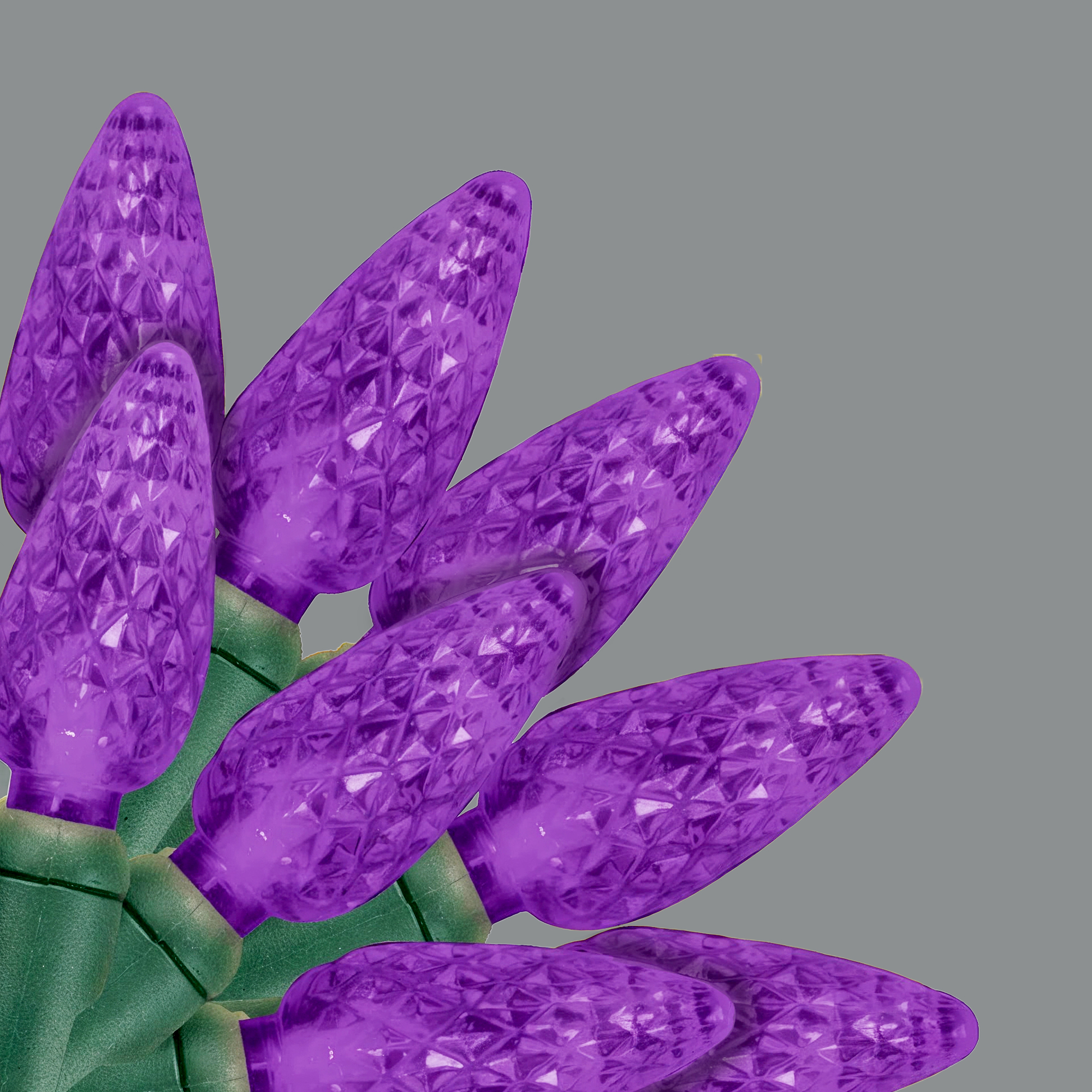 LIGHT LED O/D C6 FACETED 70L PURPLE