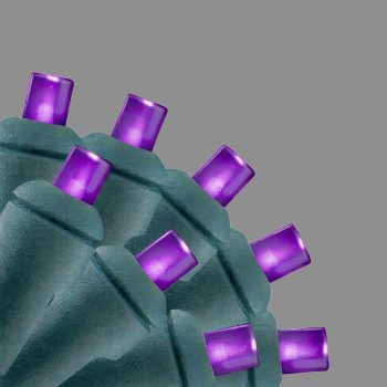 LIGHT LED O/D CONICAL 100L COAXIAL PURPLE 4.8W POWER ADAPTER NOT INCLUDED