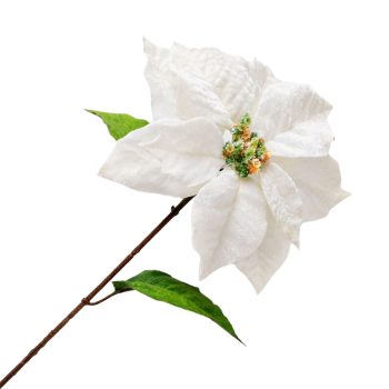 POINSETTIA STEM CREAM 28" VELVET