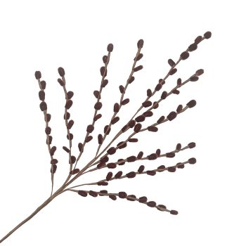 SPRAY PUSSY WILLOW LOOK 29" CHAMPAGNE GOLD