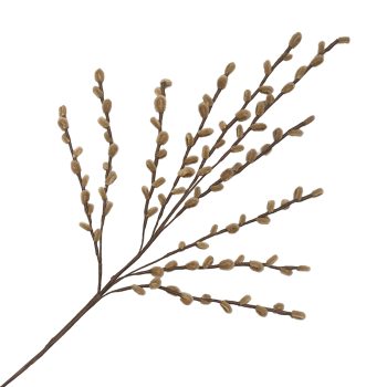 SPRAY PUSSY WILLOW LOOK 29" CHAMPAGNE