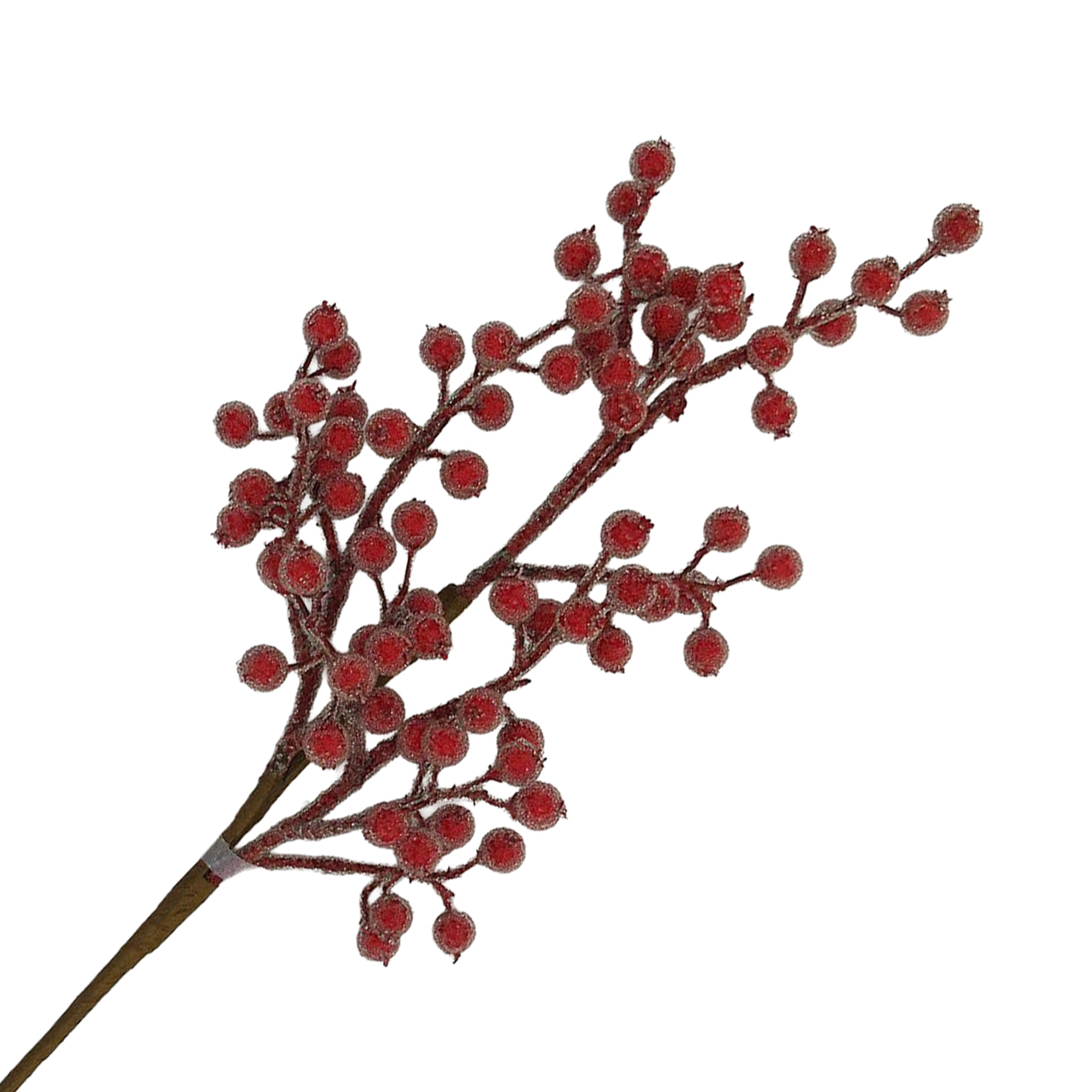 SPRAY BERRY ICED 24" RED