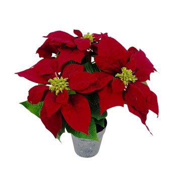 POINSETTIA POT 15" RED FABRIC/PE