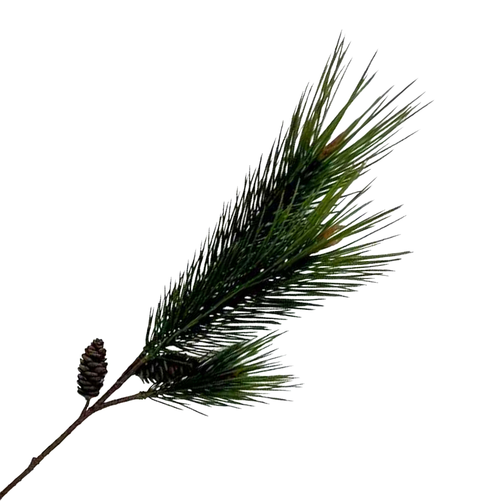 SPRAY LONG NEEDLE PINE 32" GREEN W/ PINE CONE