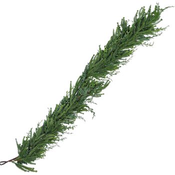 GARLAND SPRUCE 60" GREEN REAL LOOK PE