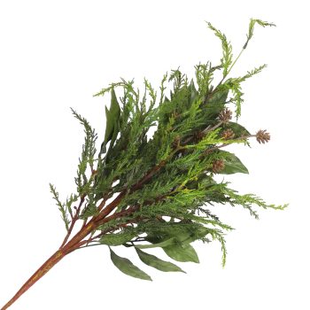 SPRAY REA-TOUCH CYPRESS 28" GREEN TWO-TONE W/SALAL LEAVES & PINE CONES