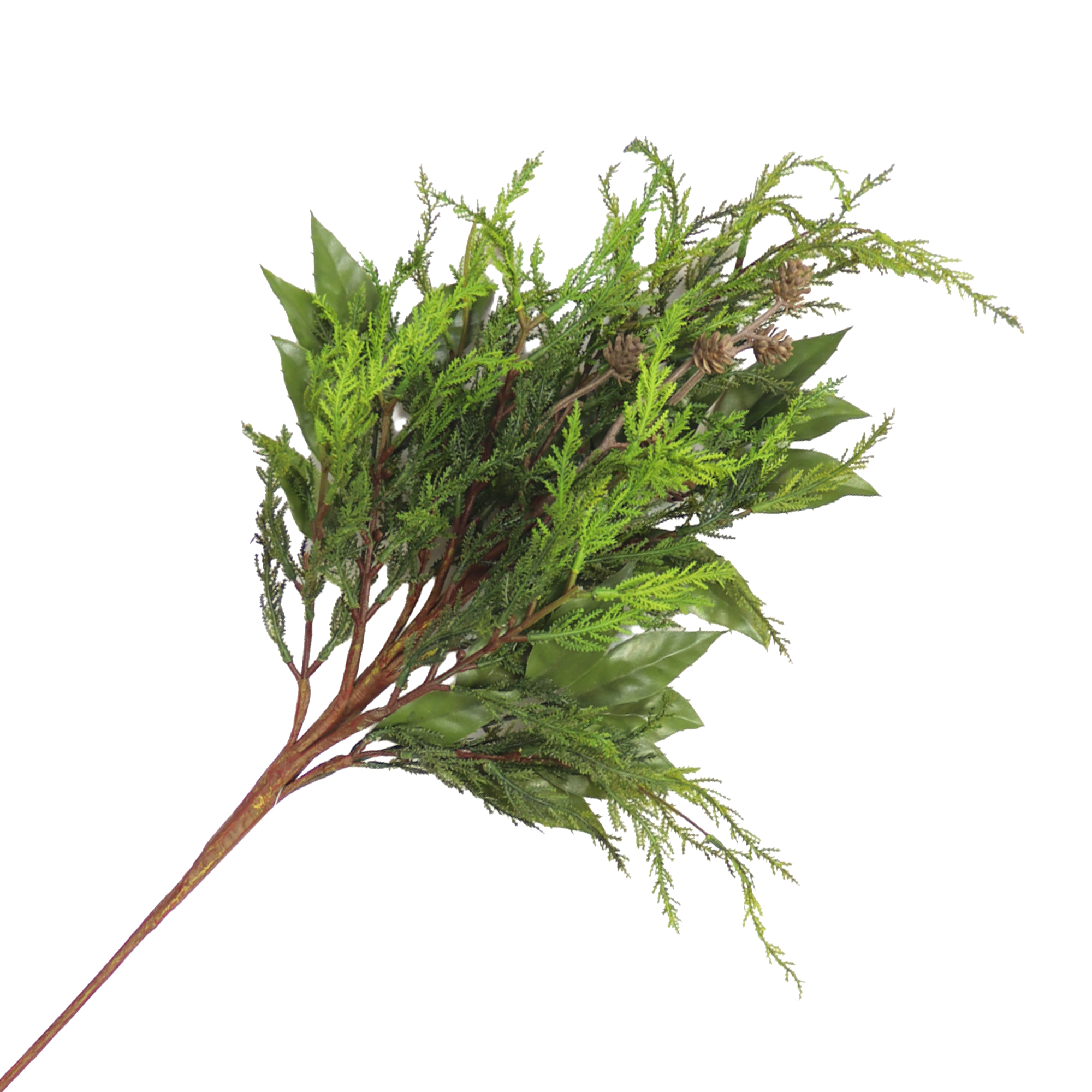 SPRAY REA-TOUCH CYPRESS 36" GREEN TWO-TONE W/ SALAL LEAVES & PINE CONES