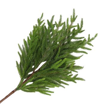 SPRAY REAL-TOUCH NORFOLK PINE 36.5" GREEN