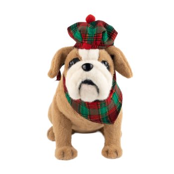 DOG BULL DOG 14"X9"X13" BROWN W/SCOTTISH HAT